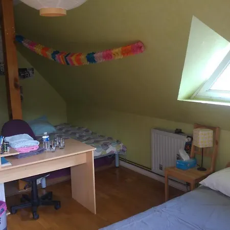 Alsace Nature Et Decouvertes 3* Gunsbach