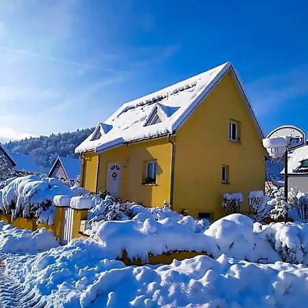 Alsace Nature Et Decouvertes Gunsbach