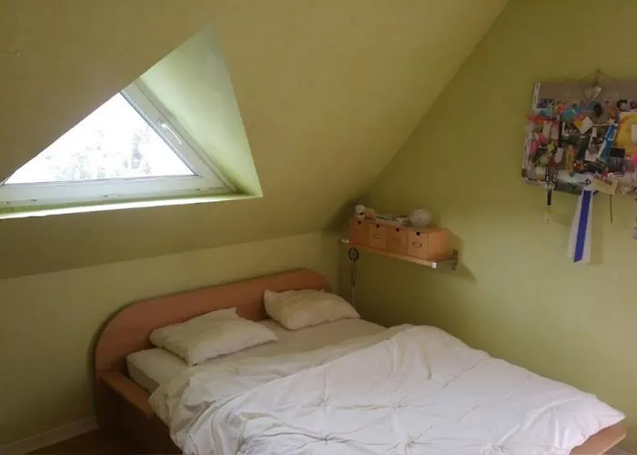 Alsace Nature Et Decouvertes 3*