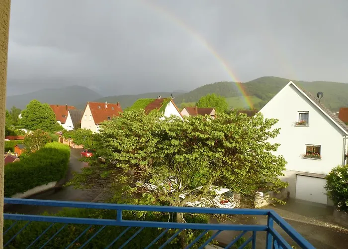 ベッド・アンド・ブレックファスト Alsace Nature Et Decouvertes 3*