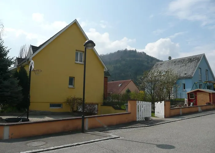 Alsace Nature Et Decouvertes Gunsbach