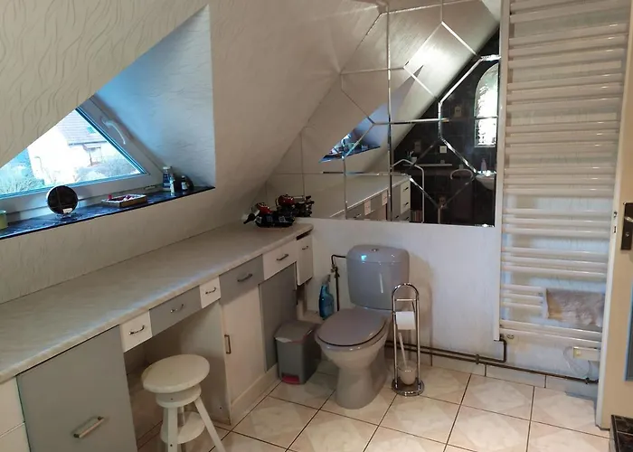 Alsace Nature Et Decouvertes 3* Gunsbach