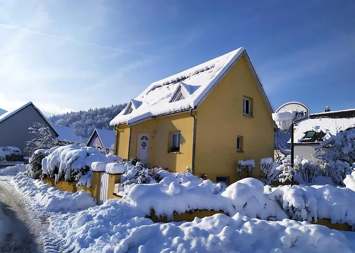 ベッド・アンド・ブレックファスト Alsace Nature Et Decouvertes Gunsbach