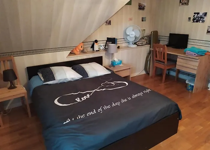 ベッド・アンド・ブレックファスト Alsace Nature Et Decouvertes 3*