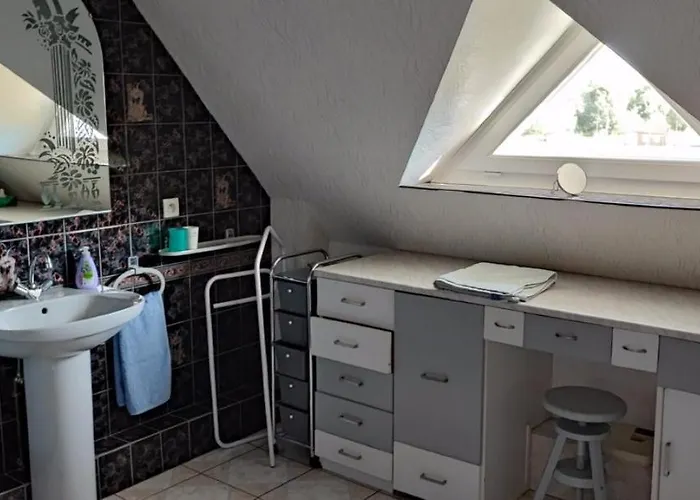 Alsace Nature Et Decouvertes